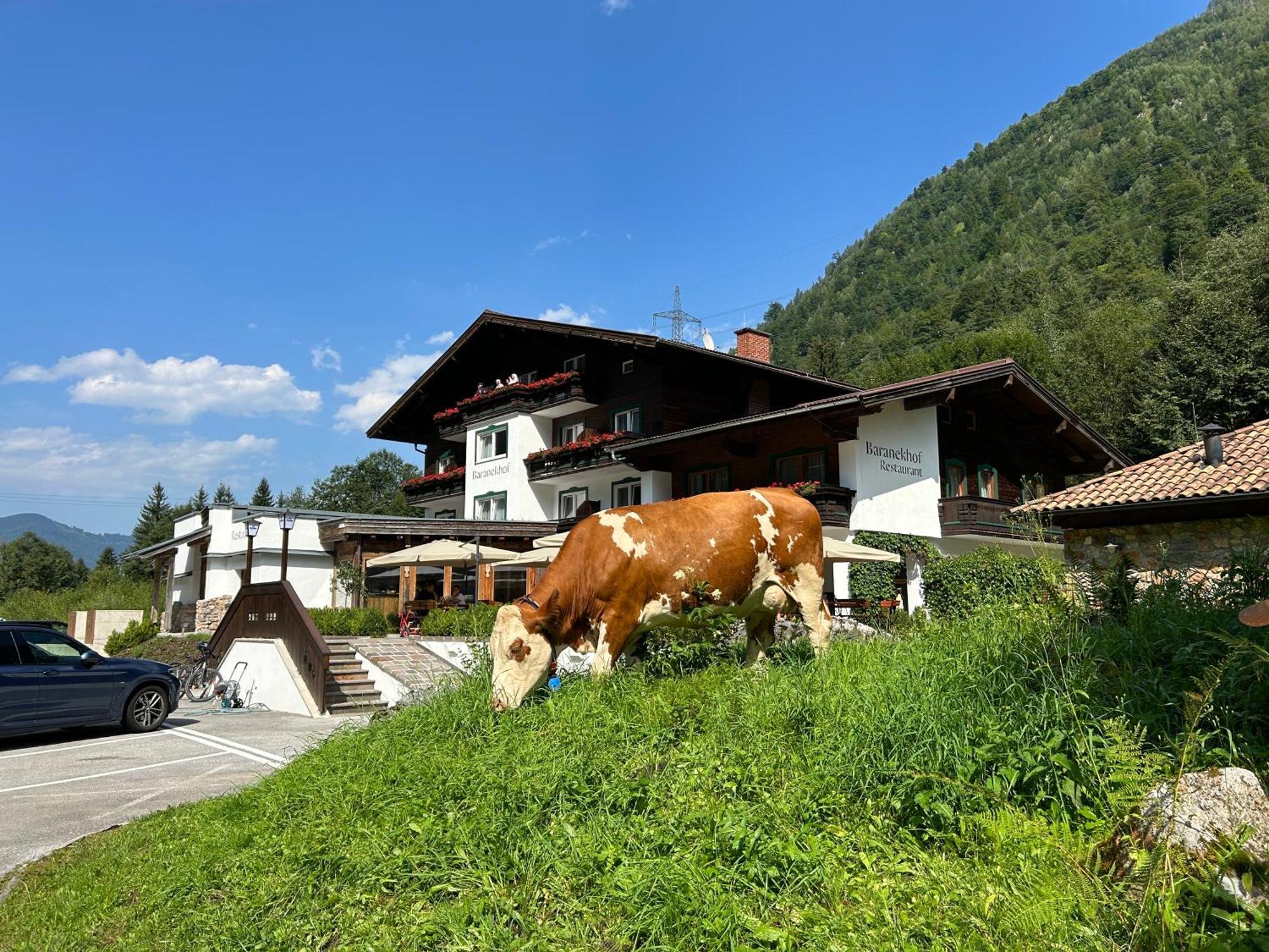 Pension Baranekhof - Baranek Resorts Kaprun Bagian luar foto